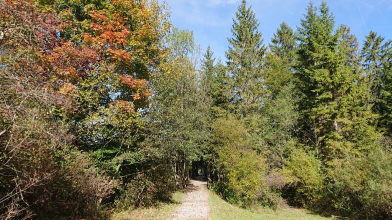 Naturschauspiel Kreuth_16_2