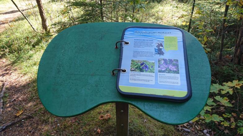 Naturschauspiel_Kreuth_7_4