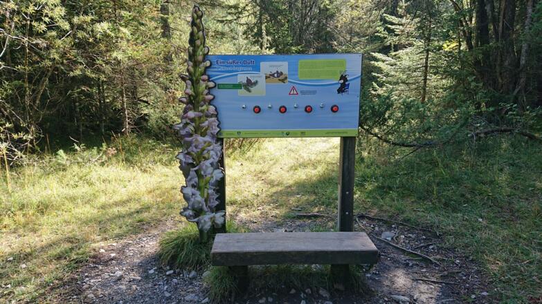 Naturschauspiel_Kreuth_10_1