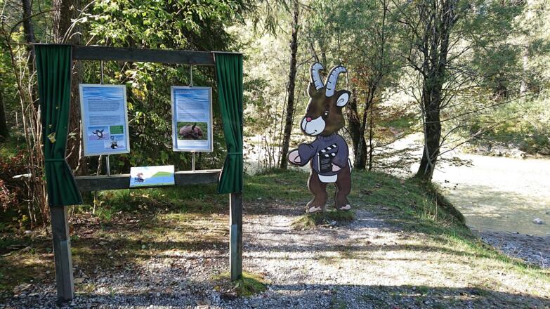 Naturschauspiele Kreuth Station 1_5