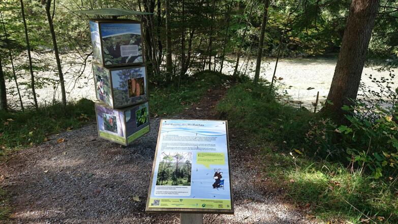 Naturschauspiele Kreuth Station 1_6