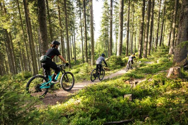 AlteSchmiede Trail mit schönen Waldpassagen
