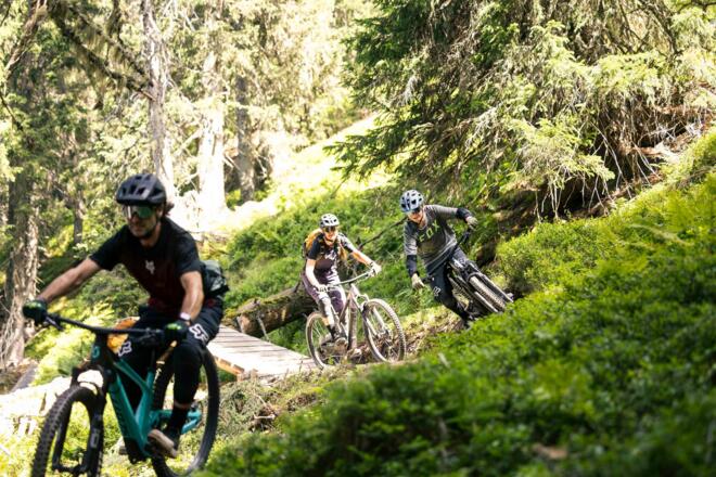 AlteSchmiede Trail eingebettet in die Natur