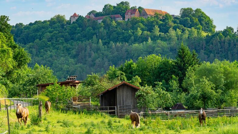 Das ende von dem Sportivem