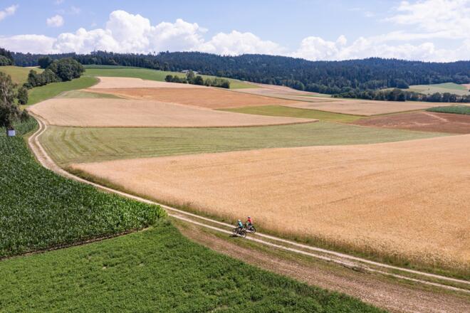 Mountainbiken im Mühlviertler Granitland