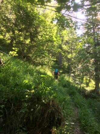 Aufstieg durch steile Wiesenhänge