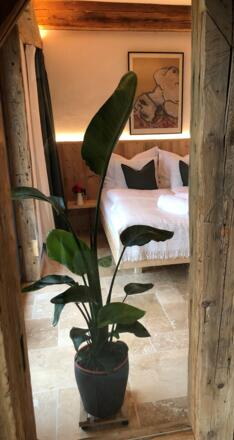 Blick ins Schlafzimmer