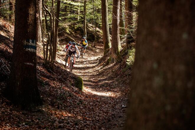 Mountainbiken im Mühlviertler Granitland