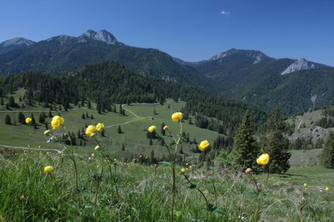 Blick vom Graseck zu Ross- und Buchstein, sowie Leonardstein