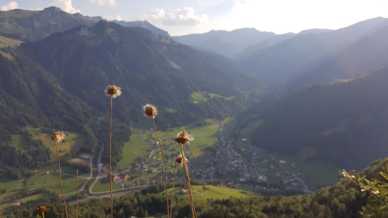 Aussicht vom Gopfberg