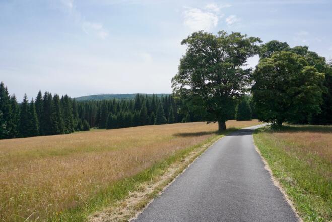 Weg nach Eisenstein