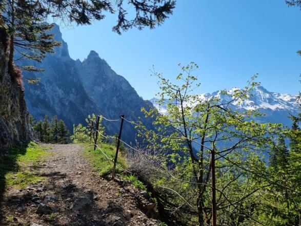 Über den Wanderweg geht es weiter bergwärts