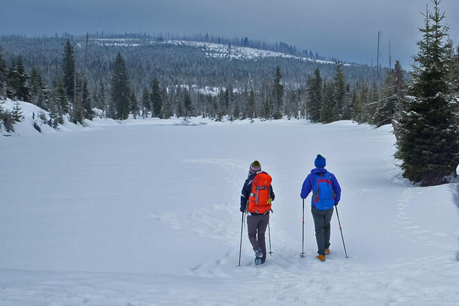Winterwandern Reschbachklause