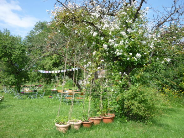Paradieshof - Kräuter, Obst, Café