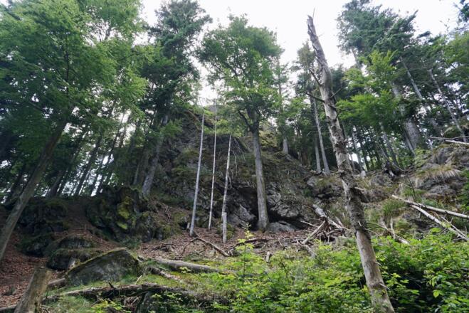 Brandtnerriegel von unten