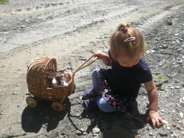 IMG_20230629_102928_resized_20230915_072305845