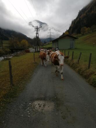 IMG_20211103_103923_resized_20230608_043630470