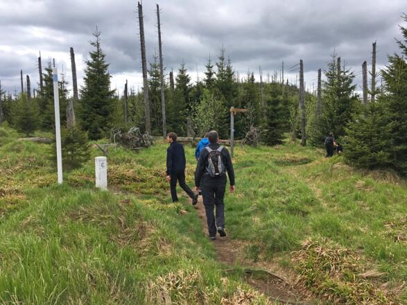 Landesgrenze am Siebensteinkopf