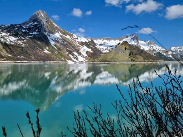 Angekommen am frühlingshaften Spullersee