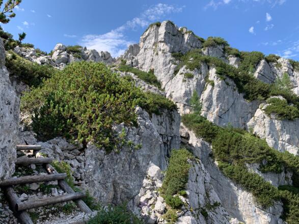 Anstieg zum Mannlgrat