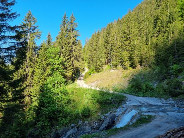 Dem Weg über die Furt folgen