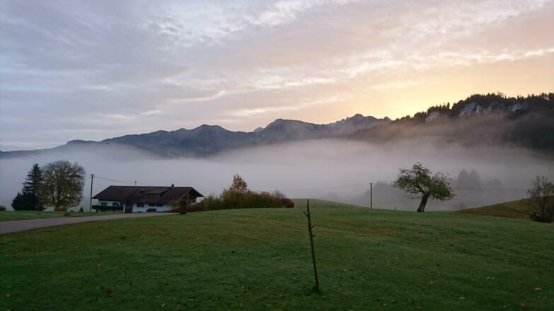 Es wird Herbst