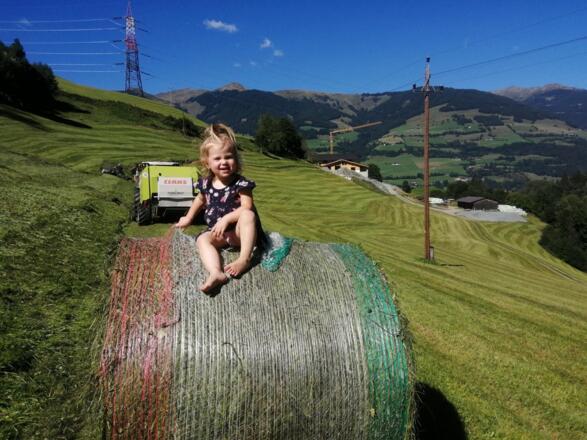 IMG_20230905_150607_resized_20230915_072410811