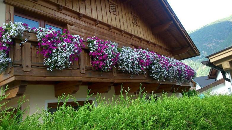 Gästebalkon