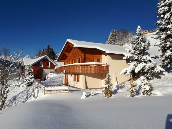 Chaletansicht talauswärts