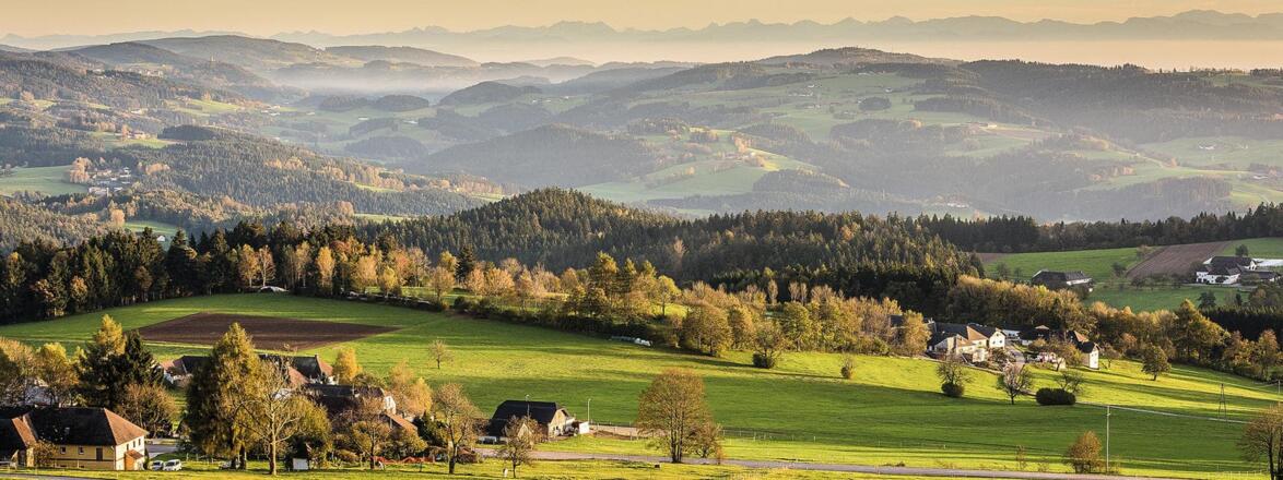 Weitblick