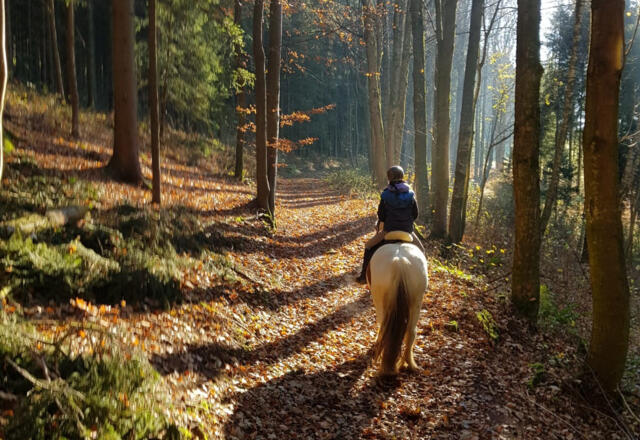 M4Hochland_Trailritt