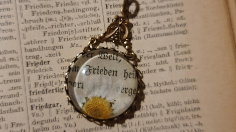 Steinbienchen 2