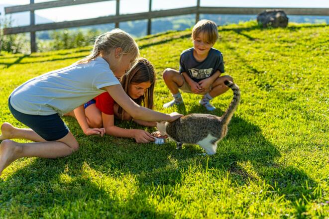 Peterle freut sich über jedes Leckerli