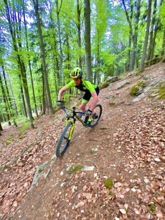 Wald Ottenschlag Radl Schui