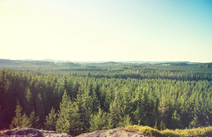 Weitblick Tanner Moor