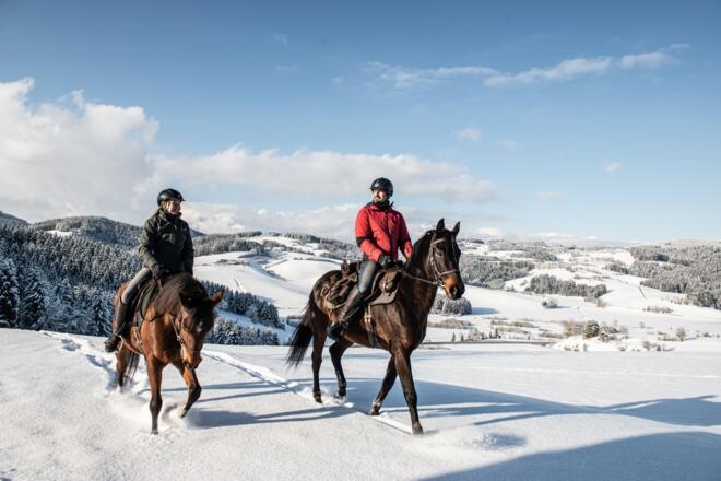 WinterlandschaftWanderreiter03_PferdereichMuehlviertlerAlmErber.jpg