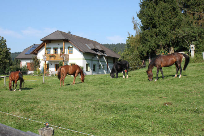 Reiterhof Hennerbichler