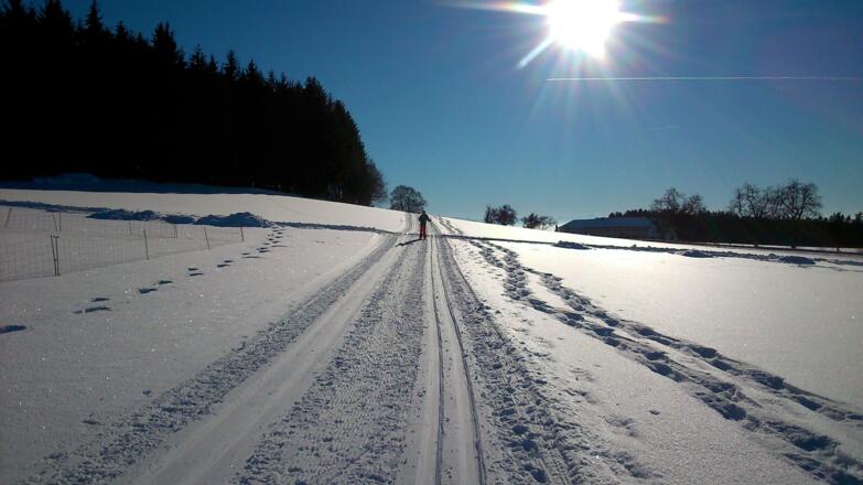 Erdleiten
