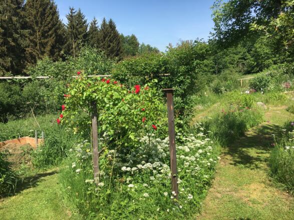 Naturgarten Pienkenhof in Kefermarkt