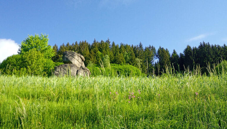 Phallusstein