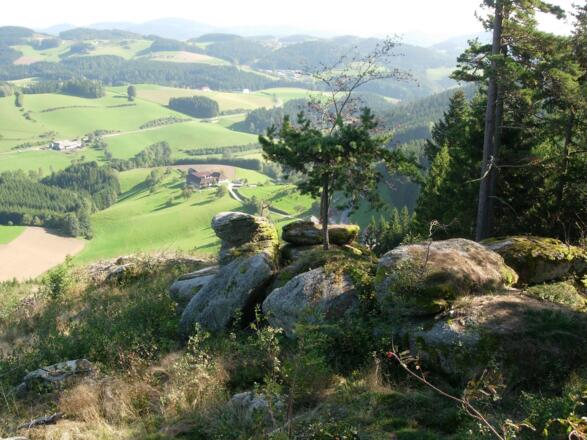 Unterweißenbach, Wolfsberg