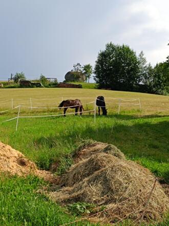 IMG_20230616_170238