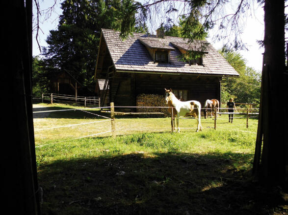 Reiterrast Werfneralmhütte - Reichraming