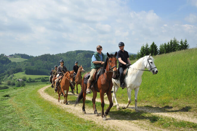 Reitgruppe