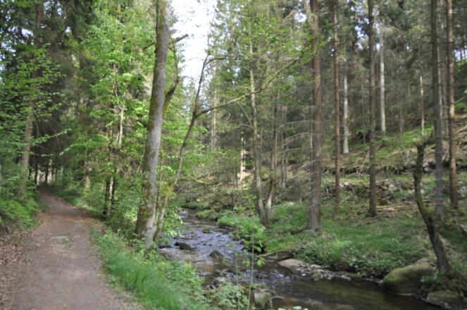 Thurytal