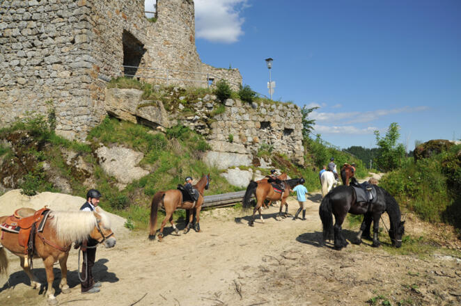 Reitgruppe