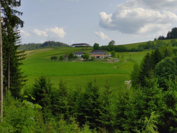 Biohof Viertl