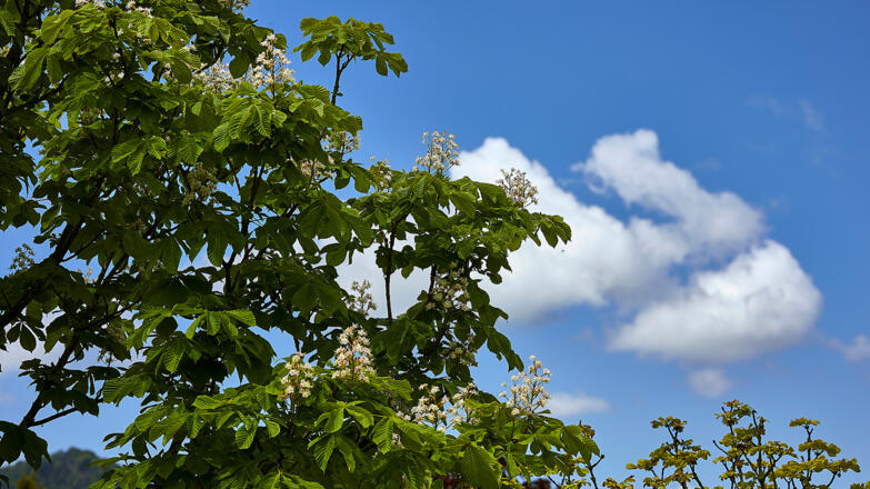 Landgasthof Klausner