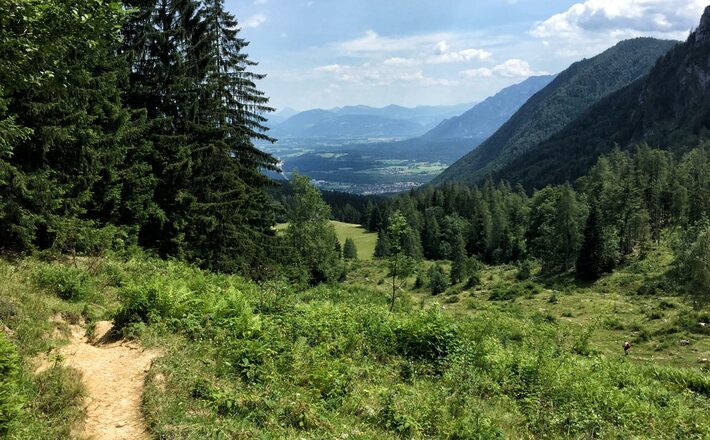 Auf dem Weg zur Steiner Alm