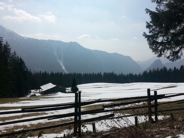 Frühling auf der Bäckeralm in Inzell